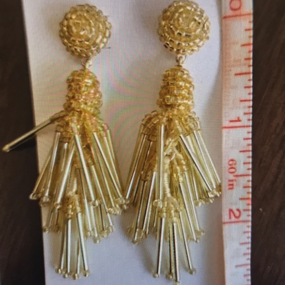 Elegant Tassel Earrings